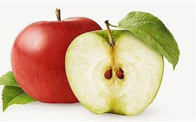 KANAYA Apple Seed(5 per packet)