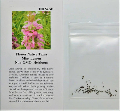 VibeX ® LXI-512 Native Texas Mint Lemon (Pinkish) Seed(200 per packet)