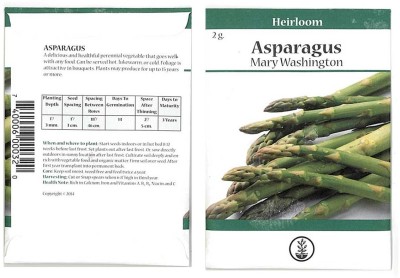 Biosnyg Asparagus Vegetable Garden Seeds - Mary Washington-[50 Seeds] Seed(50 per packet)