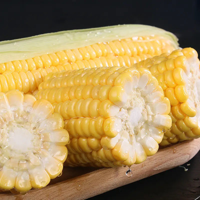 CEZIUS ORGANIC Corn Seeds Makka (मक्का के बीज) Seed(50 per packet)