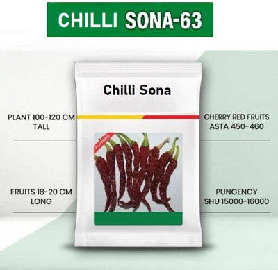 WILLVINE NKR -XIII Sona-63 Chilli seeds | Dabbi byadgi chilli[5gm, 1000 Seeds] Seed(1000 per packet)