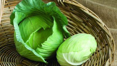 BDSresolve hybrid f1 cabbage seeds Seed(56 per packet)