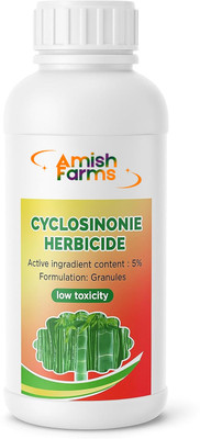 Amish Farms Cyclosinone Seed(1 per packet)
