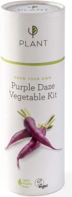 VibeX ® RDX-250-Grow Your Purple Daze Vegetable Kit Seed(30 per packet)