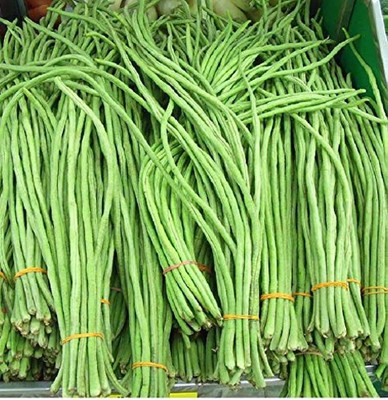 BDSresolve long beans seeds/beans seeds 31 Seed(31 per packet)