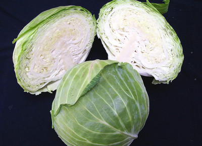 WILLVINE PAU -V Late Flat Dutch Cabbage Seeds [50g] Seed(15000 per packet)