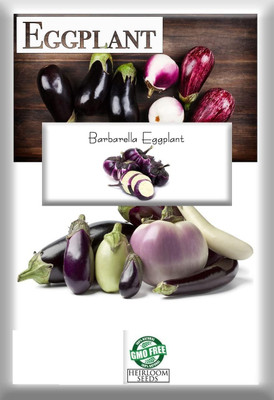 KNESSiN Barbarella Brinjal Seeds for Planting-[10gm] Seed(2000 per packet)