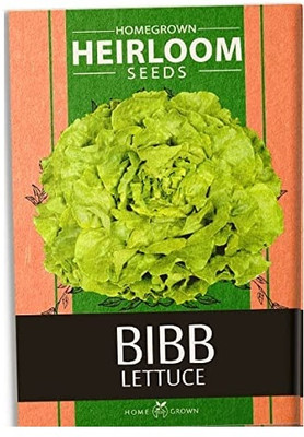 Qualtivate EXL-4AT Bibb Lettuce Seed(300 per packet)