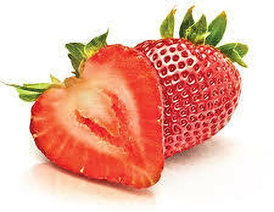 XOLDAA BEST QUALITY HYBRID STRAWBERRY Seed(155 per packet)