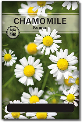 WILLVINE F1 Hybrid Roman Chamomile Seeds for Planting Seed(5000 per packet)