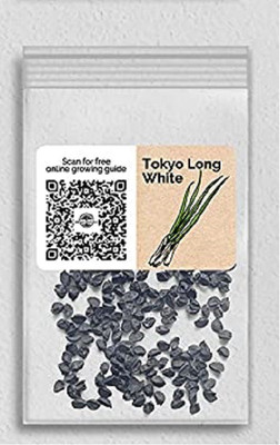 CYBEXIS VXI-36 - Tokyo Long White Scallion Onion - (4500 Seeds) Seed(4500 per packet)