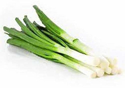 KANAYA Leek / Green Spring Onio+AN+AN5:AN54 Seed(50 per packet)