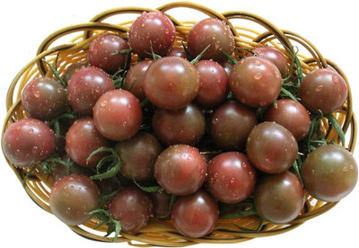 CYBEXIS Purple Pearl Tomato Seeds 2000 Seeds Seed(2000 per packet)