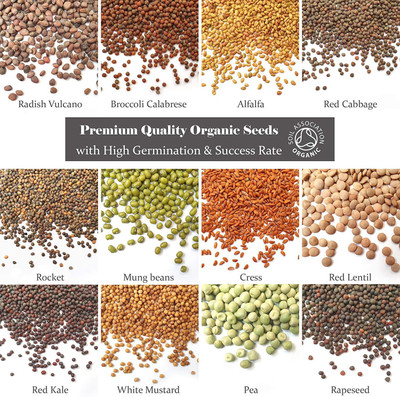 CYBEXIS Sprouting Microgreen 12 Variety Starter Packs Seed(10 g)