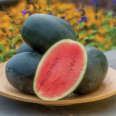 Farmonix Tropical Fruit Watermelon/तरबूज के बीज Seed(50 per packet)