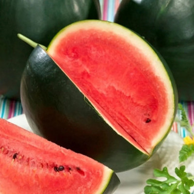 EMKOT Watermelon Sugar Baby Seed(50 per packet)
