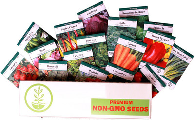 CYBEXIS Salad Garden Seed Collection - 18 Vegetable Seed Packets Seed(10 g)