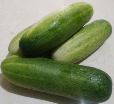 Aywal CUCUMBER Seed(1000 per packet)