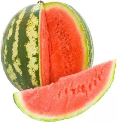 Quentova Delicious Taste Premium Quality Watermelon-KMT-4O Seed(50 per packet)