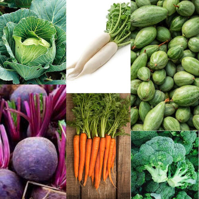 ibains Rainy vegetable seeds combo Seed(680 per packet)