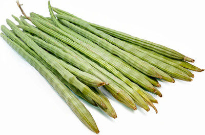 DEYS AGRO ™ DESHI Drumstick | Sojna, moringa A1 Quality vegetables Seed(14 per packet)