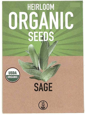 CYBEXIS LX-98 - Culinary Sage - (150 Seeds) Seed(150 per packet)
