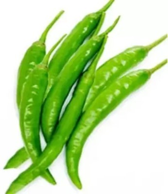 MAA Green Chilli, Chilli Pepper, Mirchi Seed(100 per packet)