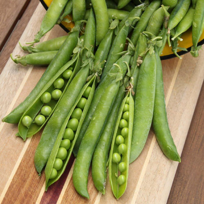 Qualtivate HYB-4A Green Arrow Shell Pea Seed(200 per packet)