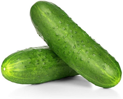 WHYGI Select Slicer Hybrid Cucumber Seeds-CuC_1116 Seed(250 per packet)