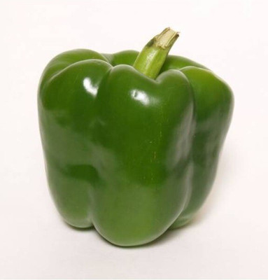 Quentova GREEN CAPSICUM / PEPPER-9H-LTK Seed(75 per packet)