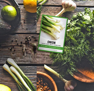 Biosnyg Green Onion Tokyo Long White Bunching Seed(250 per packet)