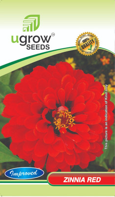 fixeded FL-148-RED-ZINNIA Seed(40 per packet)