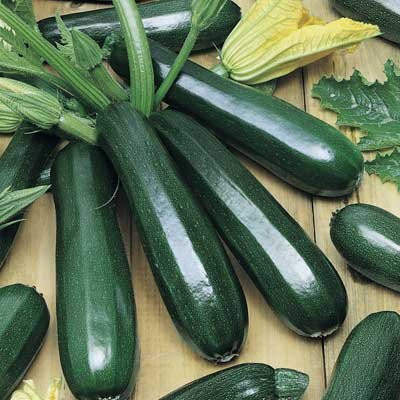 CRGO ZUCCHINI Seed(30 per packet)