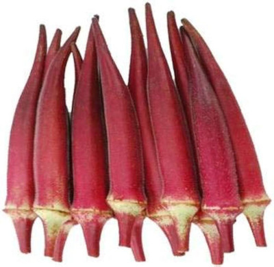 BDSresolve exotic red lady finger seeds/ladies finger seeds 86 Seed(86 per packet)