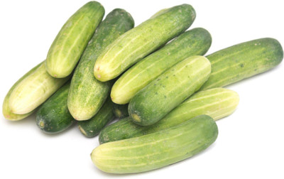 Seedsilk Store Winter Cucumber Seeds | Cucumber For Planting Seed(50 per packet)