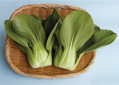 Atlus Boy Choi Hybrid Pak Choi Chinese Cabbage Seed(150 per packet)