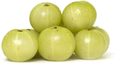 XOLDA Organic Amla fruit Seed(20 per packet)