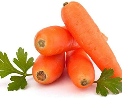 CYBEXIS Carrot Seeds Planted Green Non-GMO Heirloom Vegetable4000 Seeds Seed(4000 per packet)