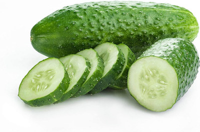 Quentova Cucumber Seeds for Planting Outdoors Home Garden-VISHVA-9N Seed(300 per packet)