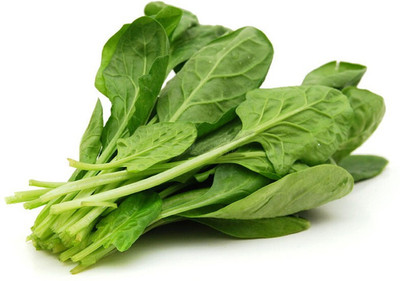 SeedHaven Fresh Green Spinach (Palak) Vegetable Hybrid Quality Seed(25 per packet)