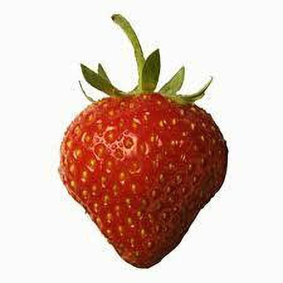 XOLDAA BEST QUALITY HYBRID STRAWBERRY Seed(160 per packet)