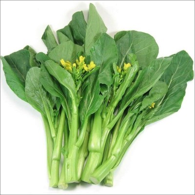 Qualtivate PUA-7A Brassica Juncea Choy Sum Mustard Seed(300 per packet)