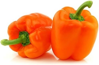 Qualtivate GBPT-2A Giant Orange King Capsicum Seeds Seed(100 per packet)