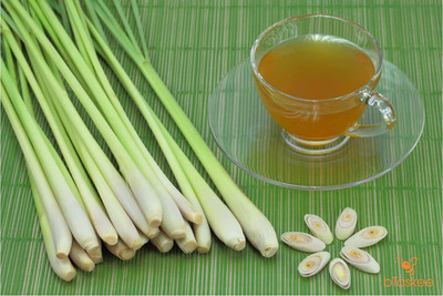 CYBEXIS VVI-38 - Lemon Grass Cochin Grass - (2250 Seeds) Seed(2250 per packet)