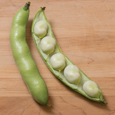 WANCY Broad Beans/Bakla Vegetable बाकला फली Seed(40 per packet)
