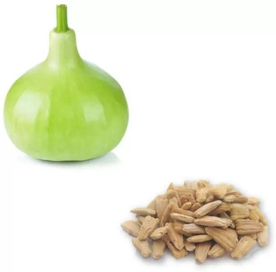 MAA Bottle Gourd round, Kaddu, Lauki Seed(52 per packet)