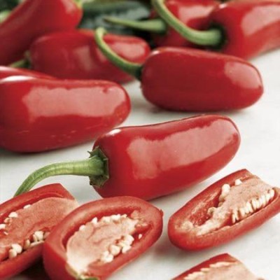 CYBEXIS F1 Hybrid Red Jalapeno Hot Chili Pepper Seeds2000 Seeds Seed(2000 per packet)