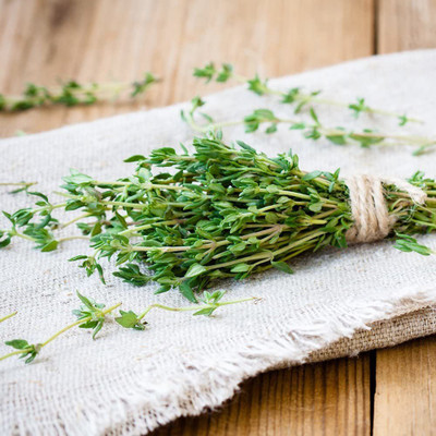 CYBEXIS TLX-7 - Summer Thyme - (150 Seeds) Seed(150 per packet)