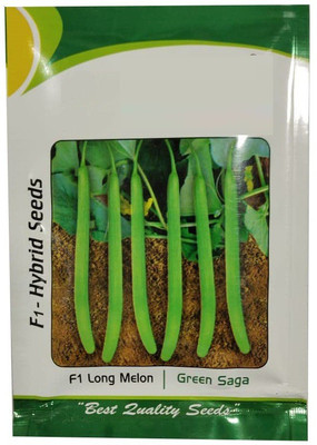 CYBEXIS XL-29 - Disease Resistant Kakdi / Long Melon - (1350 Seeds) Seed(1350 per packet)