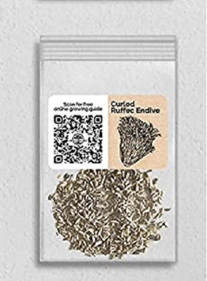 Biosnyg NDIR-6 Endive Curled Ruffec-[800 Seeds] Seed(800 per packet)